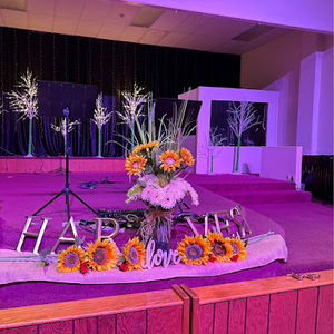 Meet your Posher, Crystal